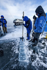 Cutting a hole in the ice before a dive - Lake Baikal  Siberia  Russia