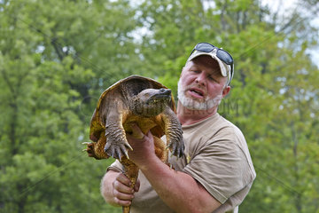 Man carrying a Snapping Turtle - Minnesota USA
