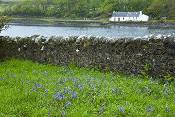 Old wall and house - Canna Small Islands Hebrides Scotland