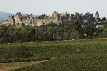 Carcassonne  vineyards outside the walls of the medieval city