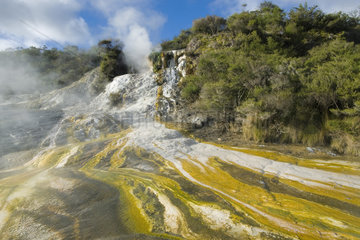 Orakei-korado geotermic place  Taupo Volcanic  Zone  North Island  New Zelande