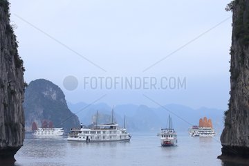 Halong Bay  a UNESCO World Heritage Site  tourist boats stopping overnight  Vietnam