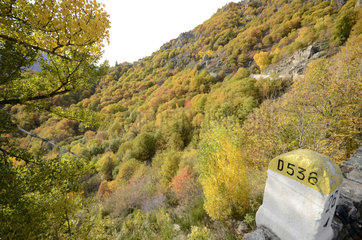 Road marker and autumn forest at the edge of a road  towards Montpezat  Ardeche  France