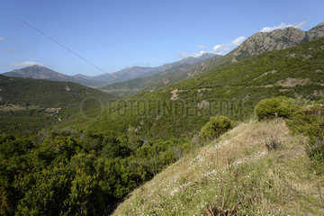 Landscape of the Fango Valley - France Corsica