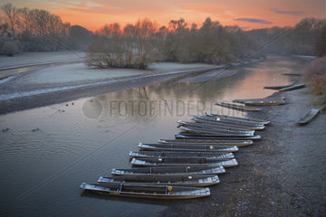 Delta of the Sauer in the early morning  Nature reserve of the Delta of the Sauer  Border of the Rhine  Munchhausen  Alsace  France
