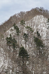 Mount Tanigawa under snow  Gunma  Japan