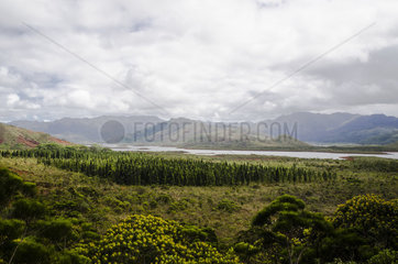 Yate Lake  Blue River Provincial Park  South Province  New Caledonia
