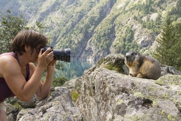 Photographer and Alpine Marmot - Ecrins Alps France