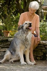 Alter Hund mit seiner Geliebten Frankreich