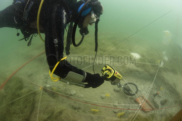 Passage of a metal detector  Archaeological excavations at a place of Roman worship in Lake Bourget  Savoie  France