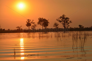 Okavango Delta at sunset - Moremi Botswana