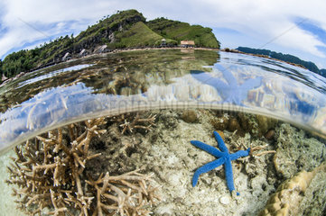 Misool Eco Resort  Raja Ampat  West Papua  Indonesia