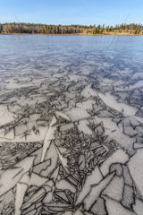 Ice marquetry in early winter  Lake Bellefontaine  Jura  France
