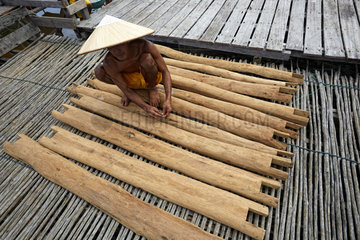 The Honey Nights. The making of honey boards or tikung in the village of Lubak Mawang. The boards are cut and then their lower surface is rubbed with wax to increase the chances of attracting the swarms. Borneo  Indonesia