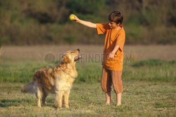 Junge spielt den Ball mit einem goldenen Retriever