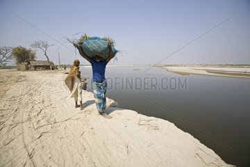 Farmer transporting feed on a river bank India