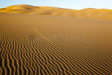 Sand Dunes - Namib Desert Namibia