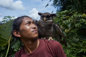 Barred eagle-owl also called the Malay eagle-owl (Bubo sumatranus) and his keeper  Harau Valley  Sumatra  Indonesia