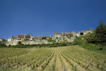 Ville de Vézelay entourée du vignoble auxerrois France