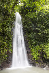 Waterfall in forest  Sao Tome and Principe Island