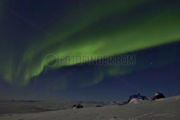 Aurora borealis over Unarteq  Greenland  February 2016