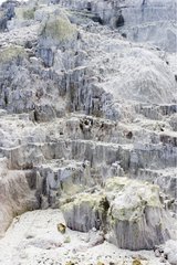 Crystalline rock formation encrusted with sulphur Hells Gate