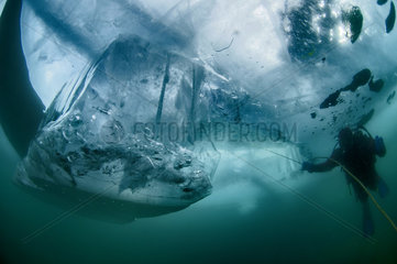 Diver under the ice  Lake Baikal  Siberia  Russia