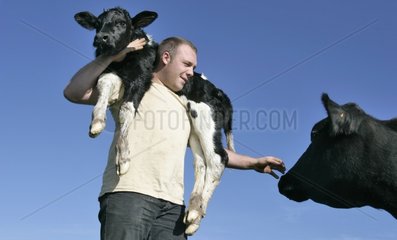 Breeder carrying a newborn Calf on its shoulders France