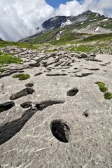 Limestone rich Cerithes - Desert Platé Alpes France