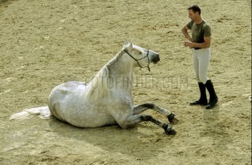 Complicity between a rider and his horse - France