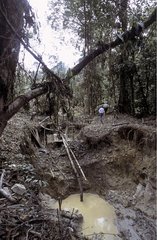 Illegal gold mining site in forest French Guiana