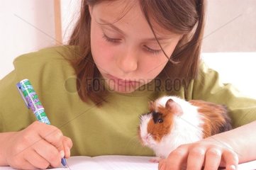 Fillette faisant ses devoirs avec son cochon d'Inde