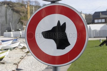 Billboard -Verbot 'Hund am Strand'