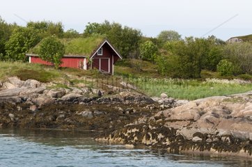 Traditional house on the shore - Norway Svartisen