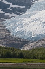Svartisen Coastal Glacier - Norway