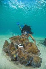 Giant Clam and Snorkeler