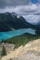 Lake Peyto National park Banff Rocky Mountains Canada