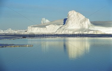 Eisberg und seine Reflexion in Wasser in der Antarktis