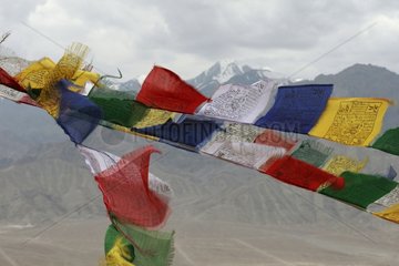 Prayer flags in the wind Himalaya India