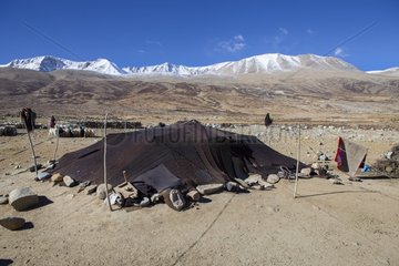 Nomad camp  Surroundings of Korzok  Leh  Ladakh  Himalaya  India
