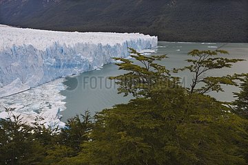 Perito Moreno Gletscher Los Glaciares National Park Patagonia