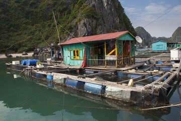 Floating House  Cat Ba island  Lan Ha Bay  Vietnam