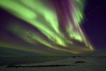 The Scoresbysund and aurora borealis  february 2016  Greenland