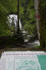 Waterfall of the Goutte des Saules in Plancher-les-Mines  Ballon de Servance  Vosges  France