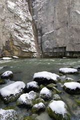 River Doubs in biofond in winter