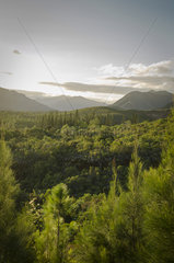 Landscape of the Southern Province  Plum  New Caledonia