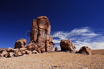 MÃ¶nche von Pacana Atacama Desert Chili