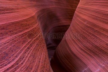 Rattlesnake canyon  Antelope Canyon  Page  Arizona  USA