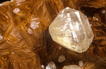 Cristal of cerussite Morocco
