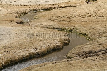 River snaking in a mountain meadow Kyrgyzstan